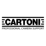 logo cartoni